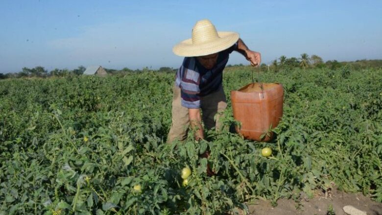 Cuba garantiza protección laboral ante crisis energética