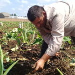 Rindió cuentas Empresa Agroindustrial Cabaiguán a Buró Municipal del Partido (+Audio)