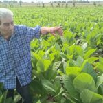 Del viejo Navarro, el tabaco y todo un siglo (+Video Podcast)