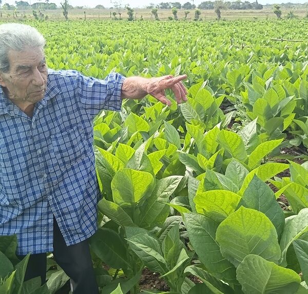 Del viejo Navarro, el tabaco y todo un siglo (+Video Podcast)