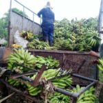 Comercialización de alimentos en Cabaiguán: necesidad de  transitar por senderos más seguros