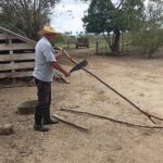 De Félix, una casa de cura legendaria… y su tabaco (+Video Podcast)