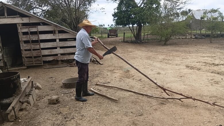 De Félix, una casa de cura legendaria… y su tabaco (+Video Podcast)