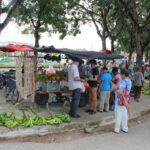 Disfrutarán los cabaiguanenses gran feria agropecuaria y cultural este Primero de Mayo