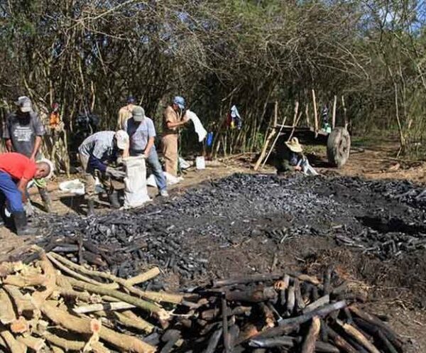 Más de 11 000 trabajadores de Sancti Spíritus en nuevas formas de empleo