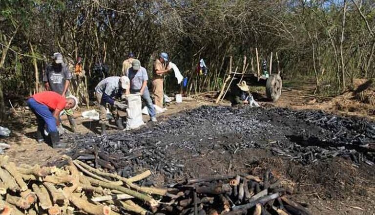 Más de 11 000 trabajadores de Sancti Spíritus en nuevas formas de empleo