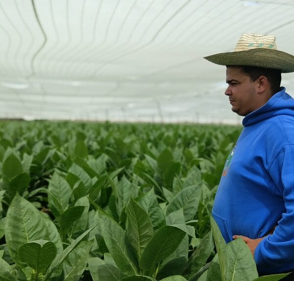 Del servicio militar a la vega (+Video Podcast)