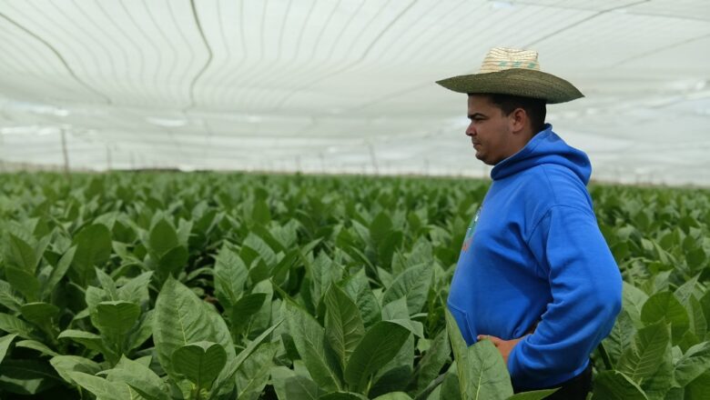 Del servicio militar a la vega (+Video Podcast)