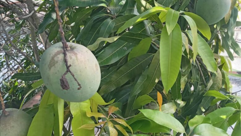 Los hombres del campo y sus tradiciones