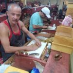 Alistan preparativos en Cabaiguán para celebrar el día del trabajador tabacalero (+ Audio y Fotos)