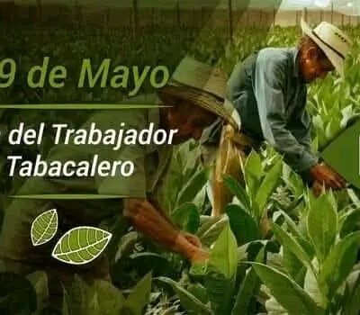 Celebración para recordar este 29 de Mayo