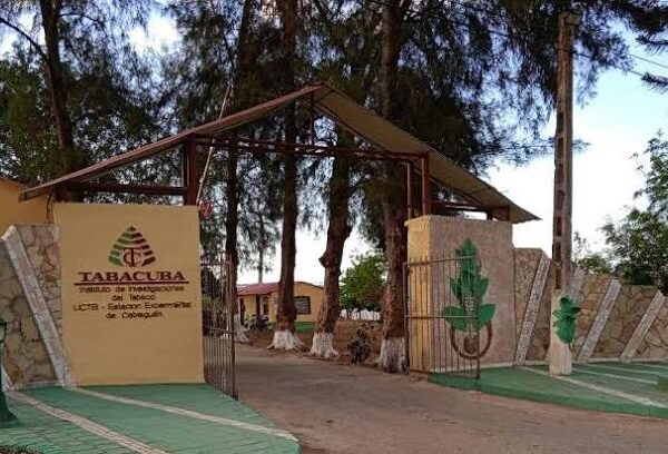 Desarrolla Estación Experimental del Tabaco de Cabaiguán Fórum de Base por la Innovación