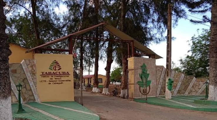 Desarrolla Estación Experimental del Tabaco de Cabaiguán Fórum de Base por la Innovación