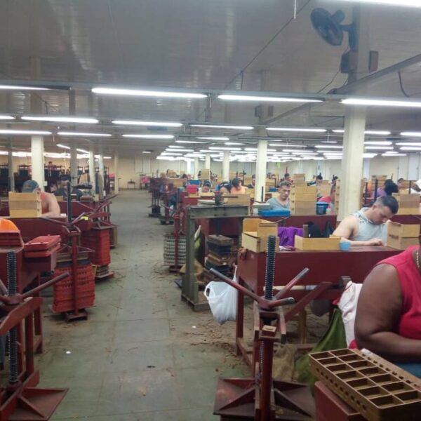 Impacta bloqueo de Estados Unidos a Cuba la comercialización de tabacos espirituanos (+ Audio)