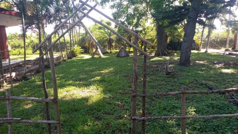 Logra proyecto educativo Raíces de la escuela Noel Mariano Sancho Valladares, impacto positivo en la comunidad (+ Audio y Fotos)