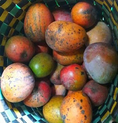 ¡Llegó el mango!