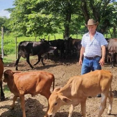 Empresa Agropecuaria Obdulio Morales: dos décadas produciendo para el pueblo