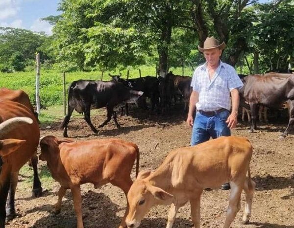 Empresa Agropecuaria Obdulio Morales: dos décadas produciendo para el pueblo