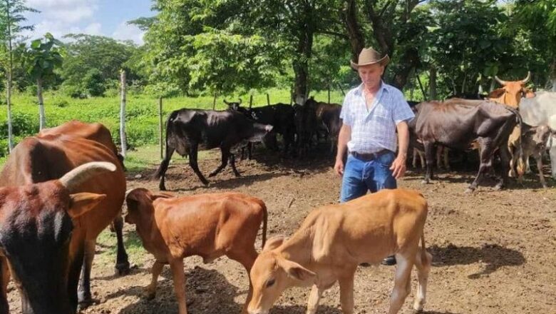 Empresa Agropecuaria Obdulio Morales: dos décadas produciendo para el pueblo