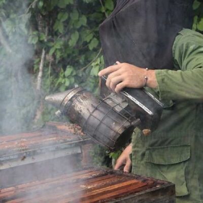 El puntal de los apicultores y sus colmenas