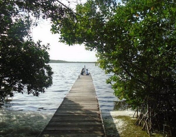 Parque Nacional Caguanes celebrará Día Mundial del Medio Ambiente