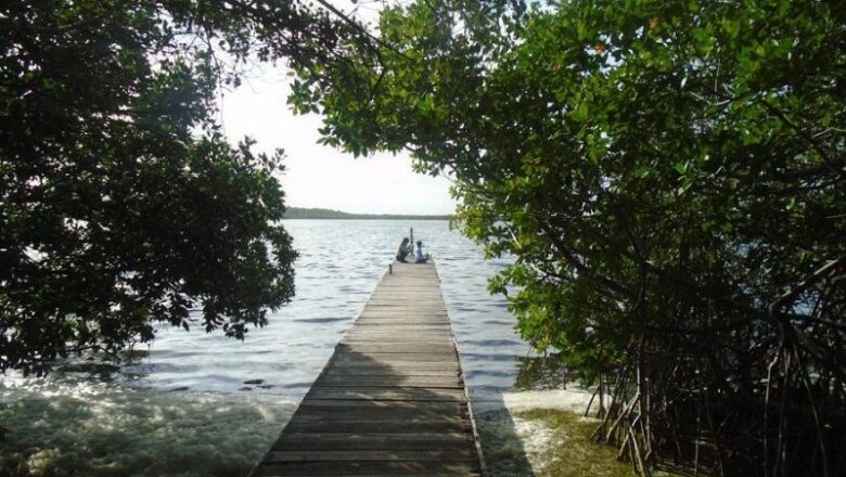 Parque Nacional Caguanes celebrará Día Mundial del Medio Ambiente