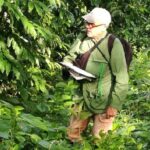 La actividad forestal es imprescindible para el cuidado del medio ambiente