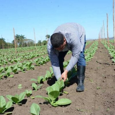 Merece Centro Meteorológico de Sancti Spíritus Premio Academia de Ciencias de Cuba