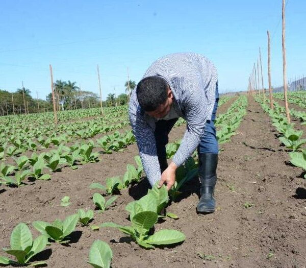 Merece Centro Meteorológico de Sancti Spíritus Premio Academia de Ciencias de Cuba