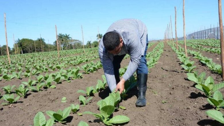 Merece Centro Meteorológico de Sancti Spíritus Premio Academia de Ciencias de Cuba