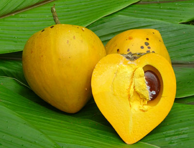 Canistel, el fruto corazón