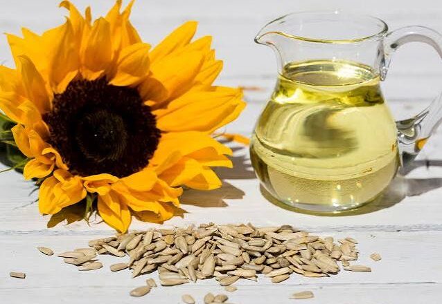 El girasol y sus múltiples beneficios para la salud