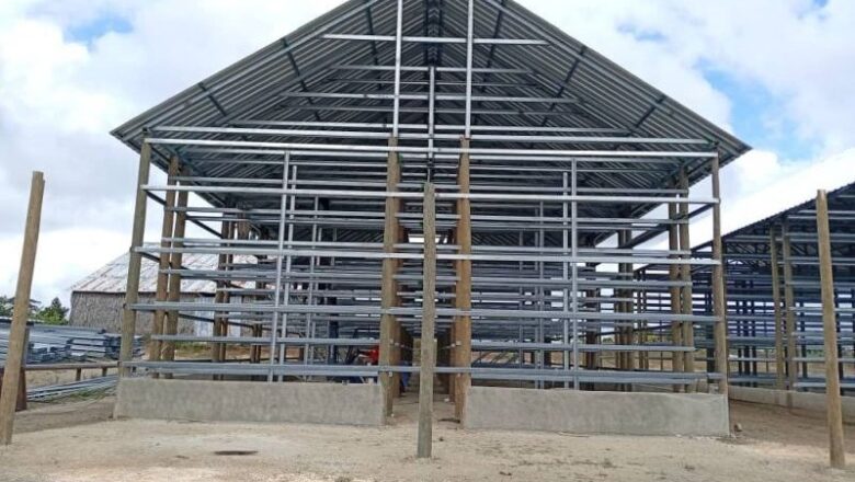 Modernizan casas de tabaco en Sancti Spíritus