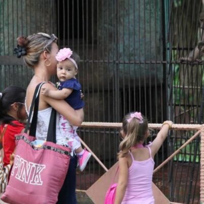 Nuevos animales en el zoológico espirituano