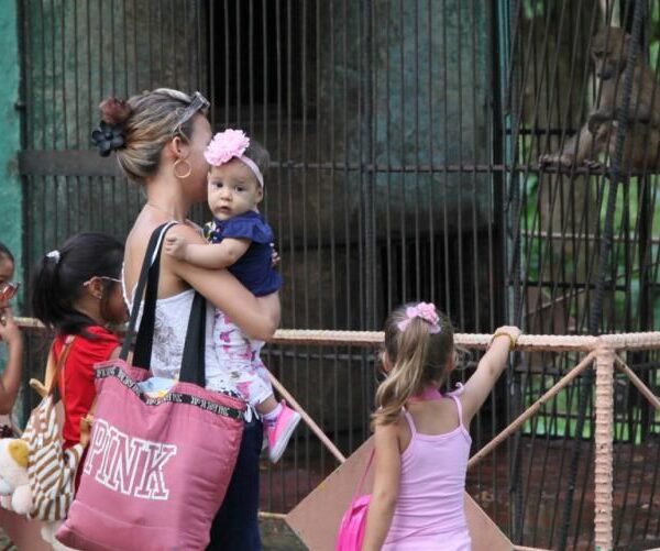Nuevos animales en el zoológico espirituano