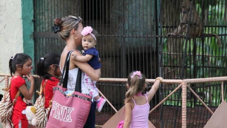 Nuevos animales en el zoológico espirituano
