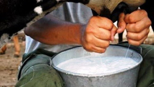 Ganaderos cabaiguanenses en deuda con la soberanía alimentaria (+ Audio)