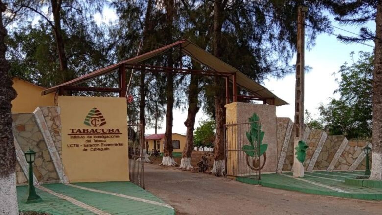 Reconocerán a investigadores de la Experimental del Tabaco de Cabaiguán durante Jornada del Innovador