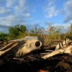 ONU: Fenómeno de El Niño se intensificará hasta alcanzar su máximo en diciembre