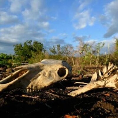 ONU: Fenómeno de El Niño se intensificará hasta alcanzar su máximo en diciembre
