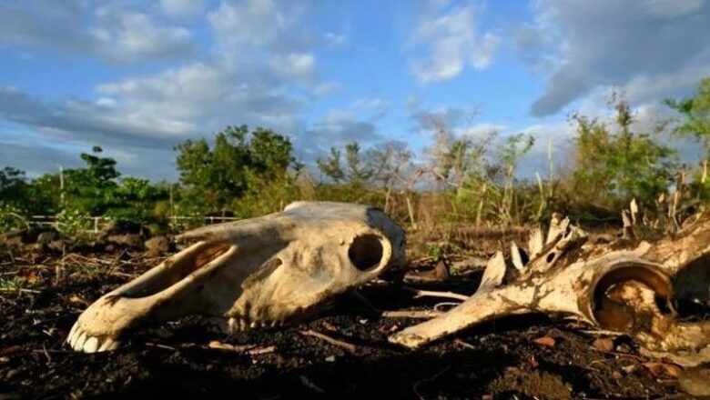 ONU: Fenómeno de El Niño se intensificará hasta alcanzar su máximo en diciembre