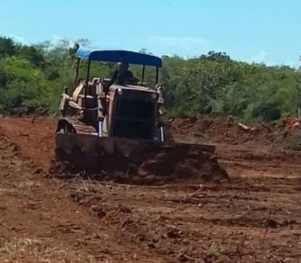 Se reanudan labores en parques solares de Guasimal y Trinidad